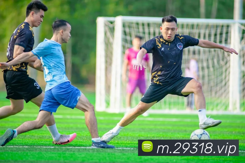 多多28官网APP 封面图